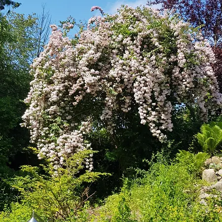 Schoene 120-qm-ferienwohnung - Sonnenterrasse - Stadtgrenze Luebeck Stockelsdorf